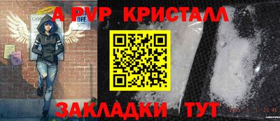 прущие грибы Комсомольск-на-Амуре