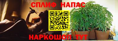 стафф Конаково